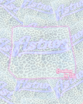 Astros Leopard Print Tee